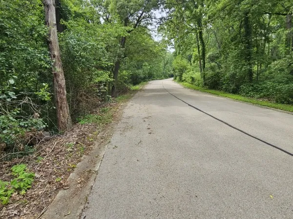 a view of a road with trees in the background