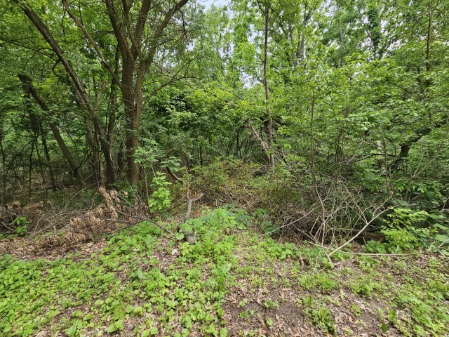 41-w329 Prairie View Lane Elburn, IL 60119 - Photo 6 of 6