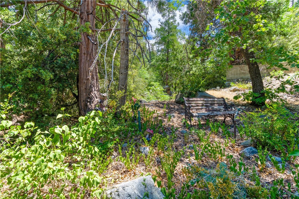 9339 Wood Road Forest Falls, CA 92339 - Photo 14 of 48 a backyard of a house with lots of green space