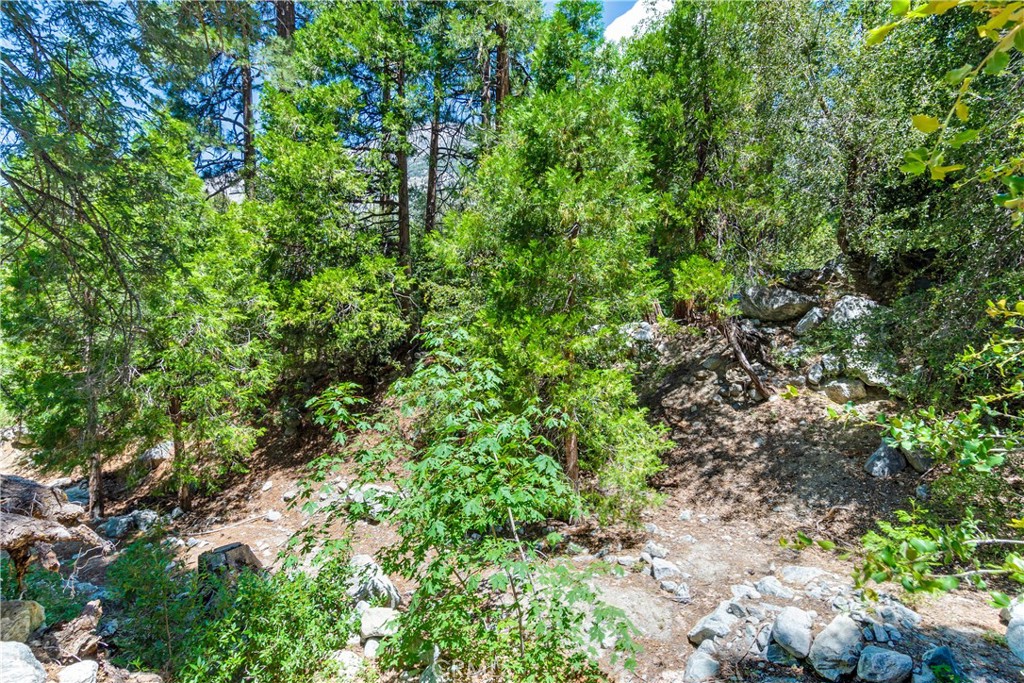 9339 Wood Road Forest Falls, CA 92339 - Photo 7 of 48 a backyard of a house with lots of plants