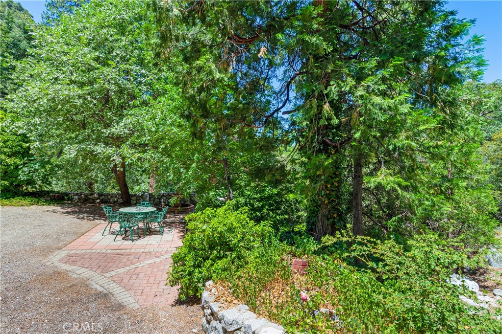 9339 Wood Road Forest Falls, CA 92339 - Photo 8 of 48 a view of a chair and table in the garden