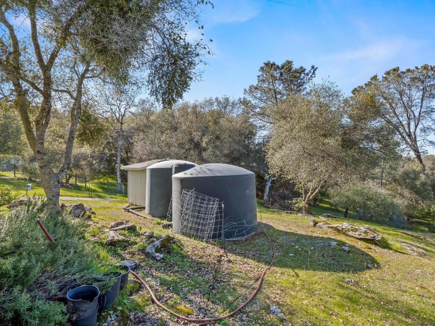 43555 Ellen Mine Road Coarsegold, CA 93614 - Photo 56 of 74 Gallery Image 56