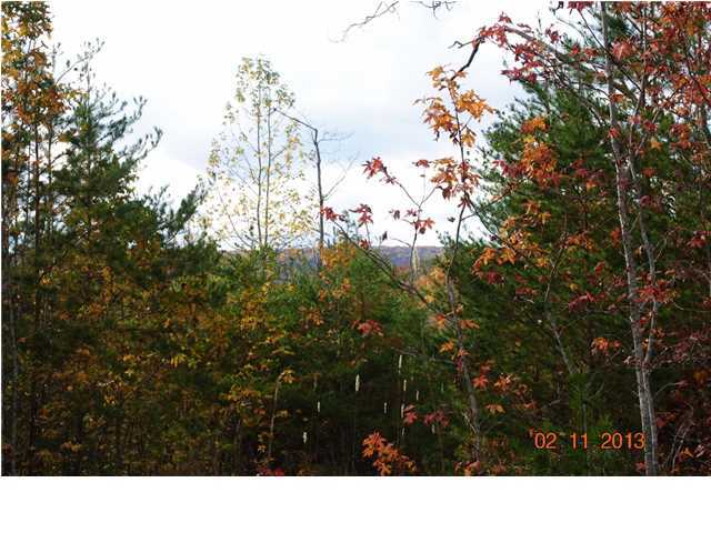 3502 Cove Road Chickamauga, GA 30707 - Photo 18 of 24 Additional Photo