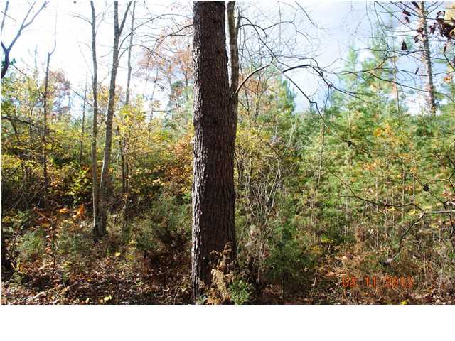 3502 Cove Road Chickamauga, GA 30707 - Photo 8 of 24 Additional Photo