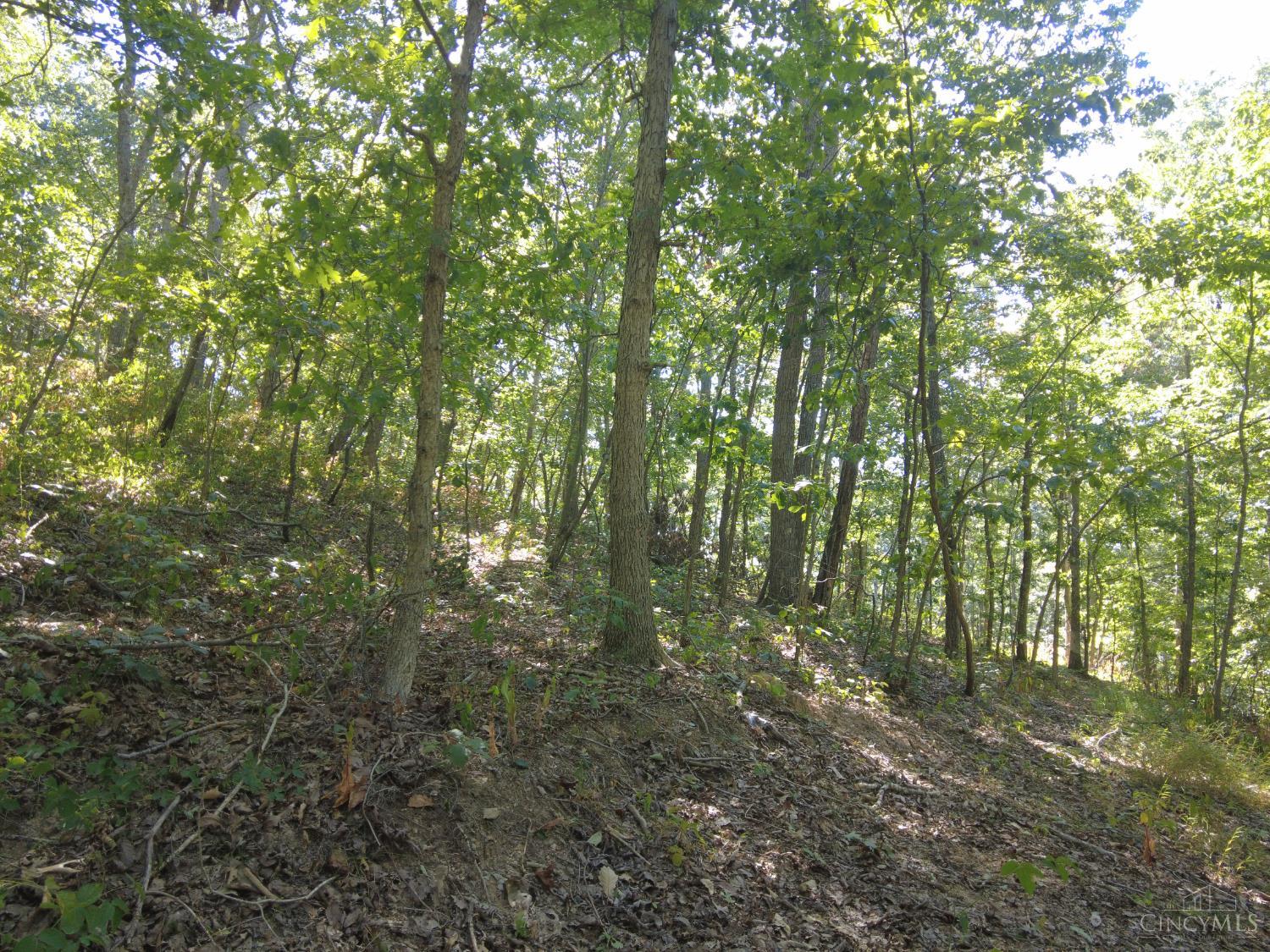 16 Black Hollow Road Peebles, OH 45660 - Photo 18 of 39