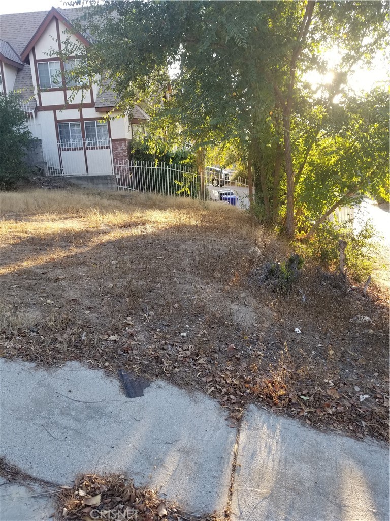 a view of a yard with a trees