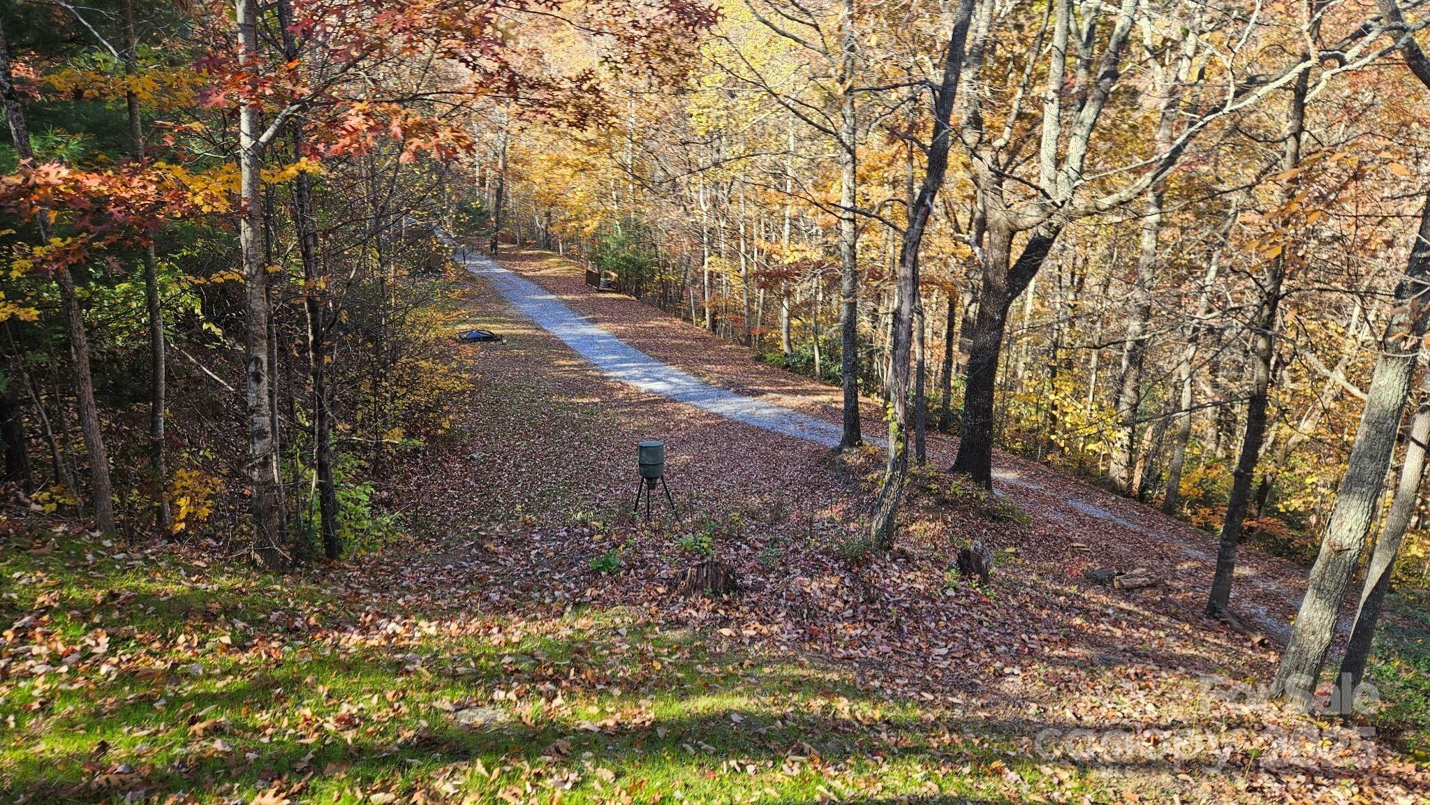 1655 Laurel Mountain View Road Flat Rock, NC 28731 - Photo 26 of 28