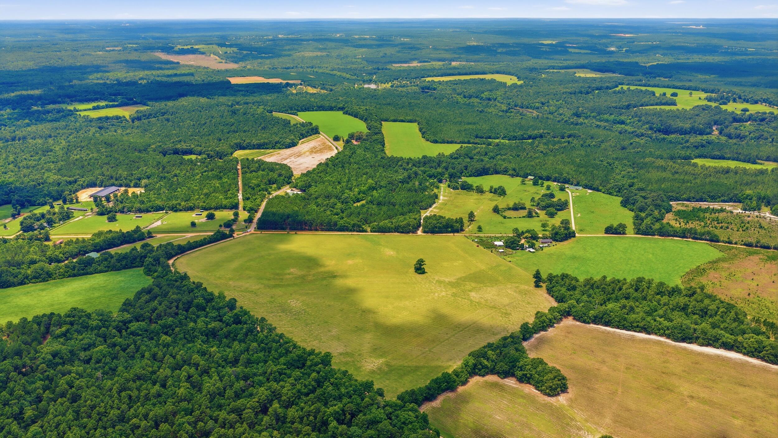 0 Bodie Road Wagener, SC 29164 - Photo 14 of 21