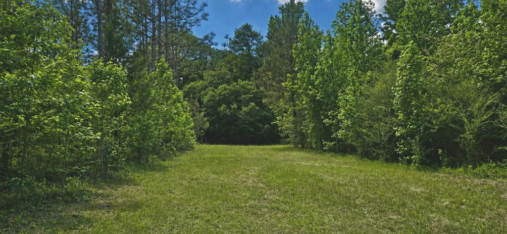 0 Case Road Slocomb, AL 36375 - Photo 3 of 18