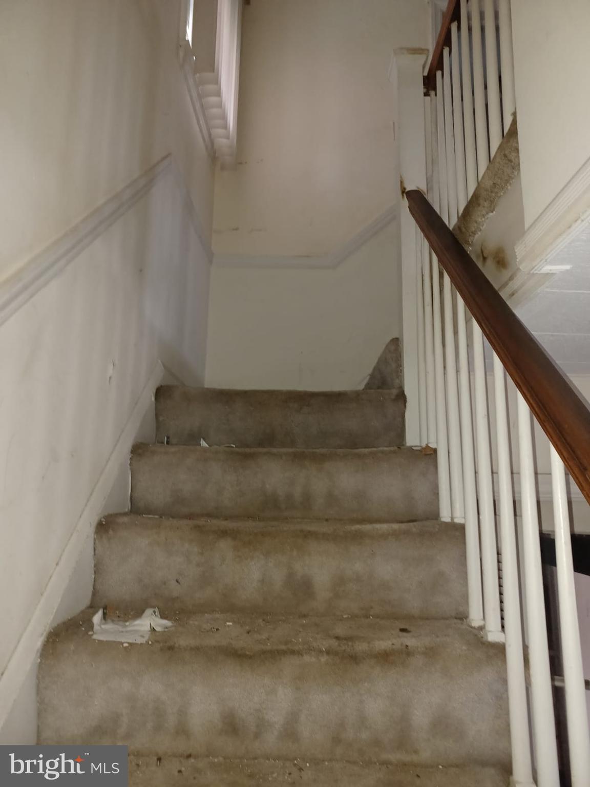 717 East Cold Spring Lane Baltimore, MD 21212 - Photo 6 of 23 Gallery Image 6