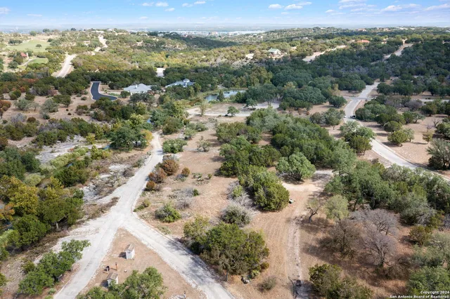 a view of a city with green space