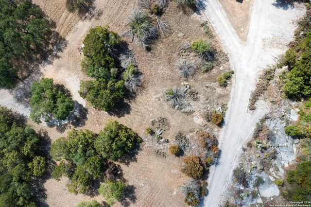 an aerial view of a houses with trees