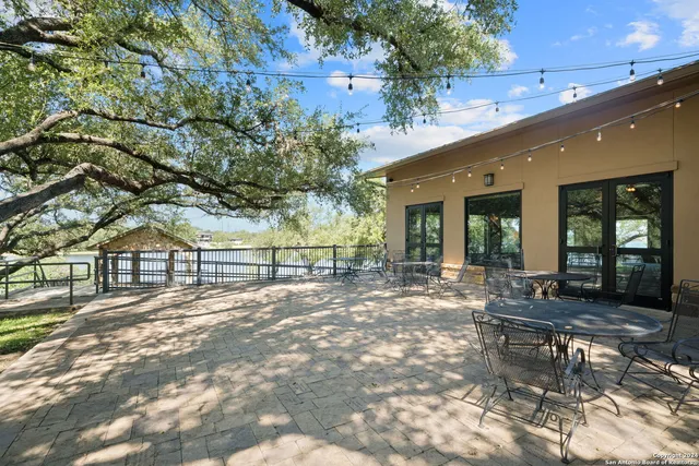 a view of a yard with a tree