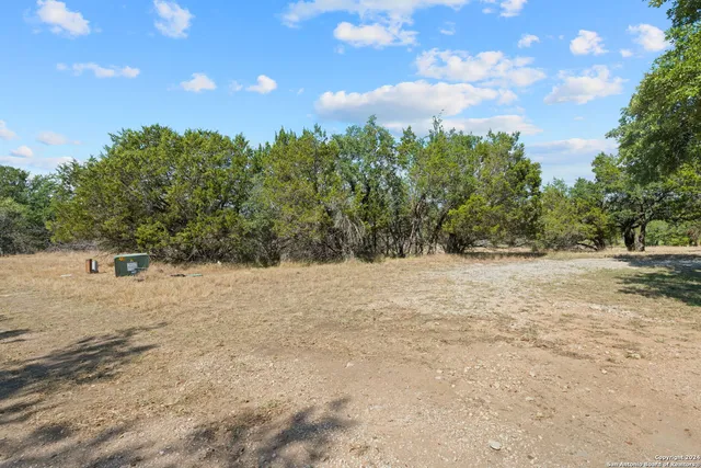a view of a yard with a tree
