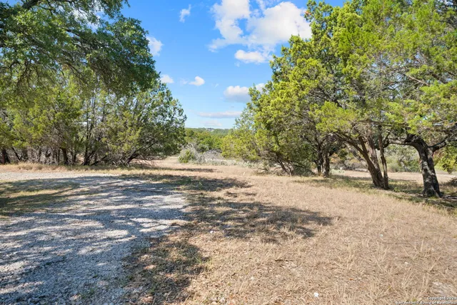 a view of dirt yard with a tree