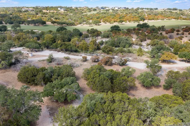 an aerial view of forest