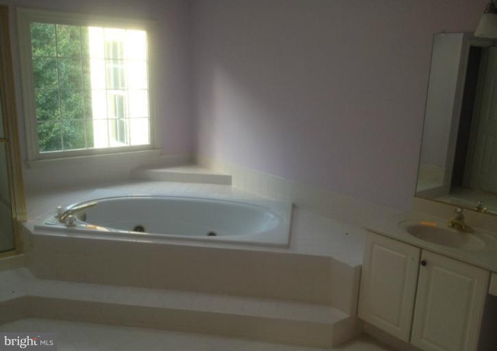 15421 Deep Bottom Road Germantown, MD 20874 - Photo 9 of 10 Bath (Master)