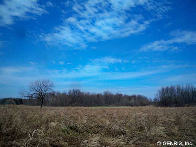 1670 Kennedy Road Penfield, NY 14580 - Photo 1 of 1 View
