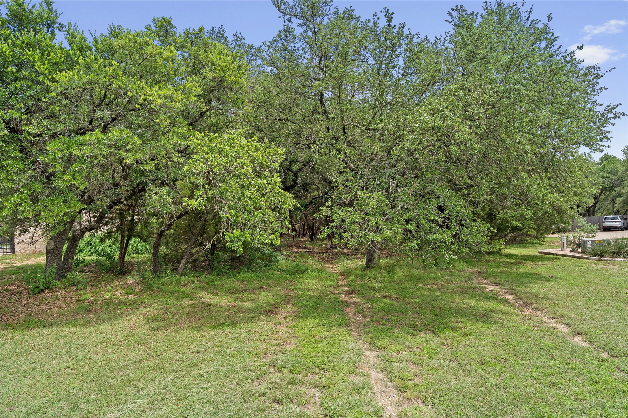 120 East Rustle Cove Georgetown, TX 78628 - Photo 11 of 25 a big yard with lots of green space and deers