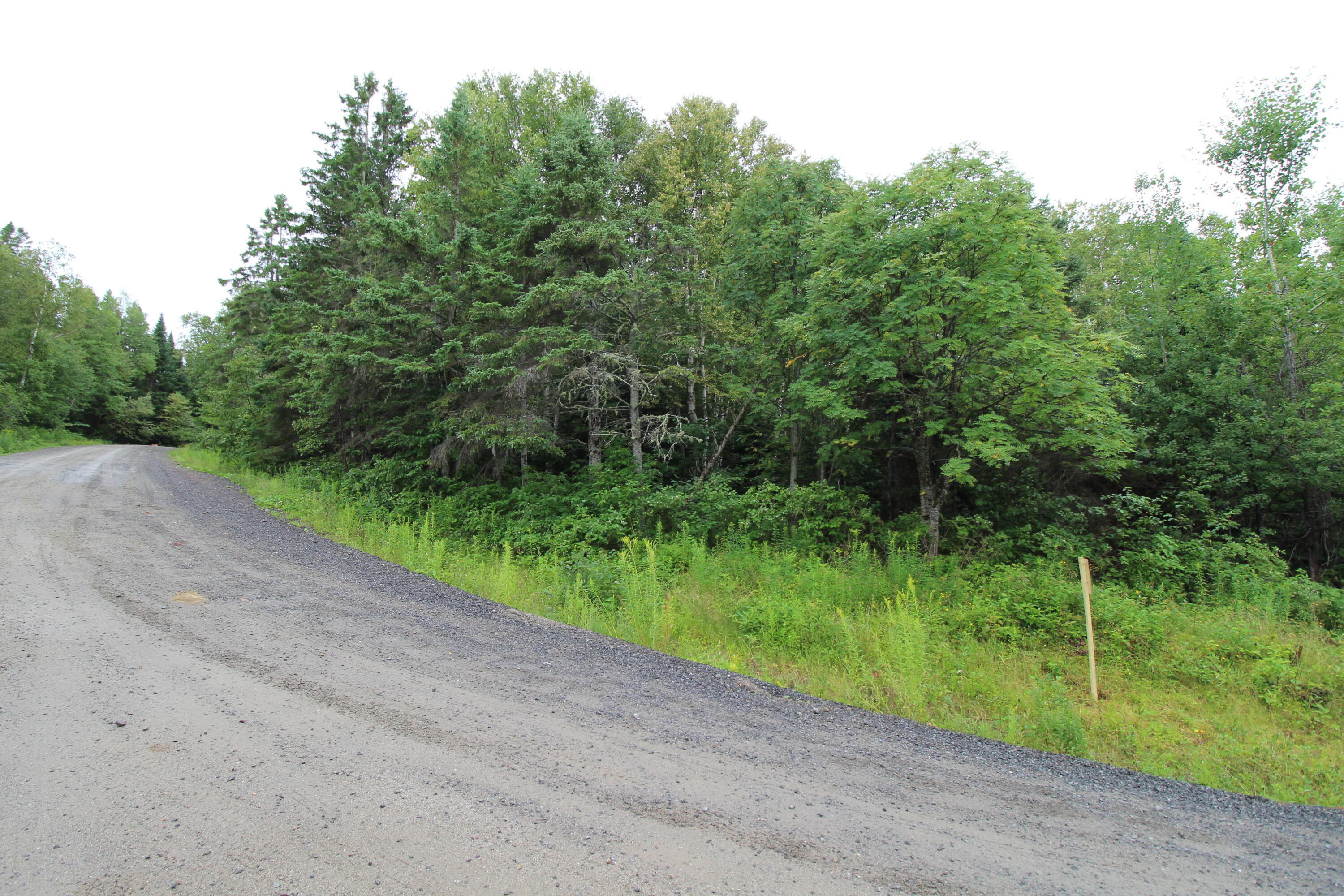 M7-l36 The Loop Road Dallas Plt, ME 04970 - Photo 1 of 13 IMG_3971