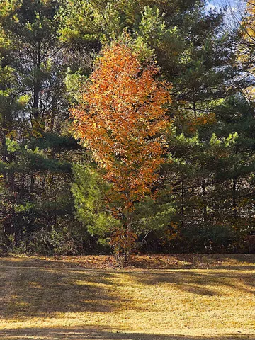 $100,000 | 29 George Street, Barre, VT 05641