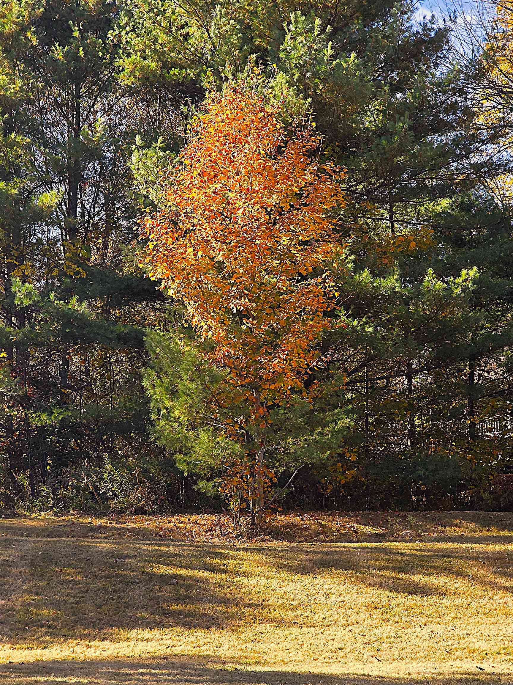 29 George Street Barre, VT 05641 - Photo 40 of 43