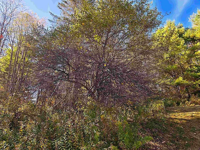 $100,000 | 29 George Street, Barre, VT 05641