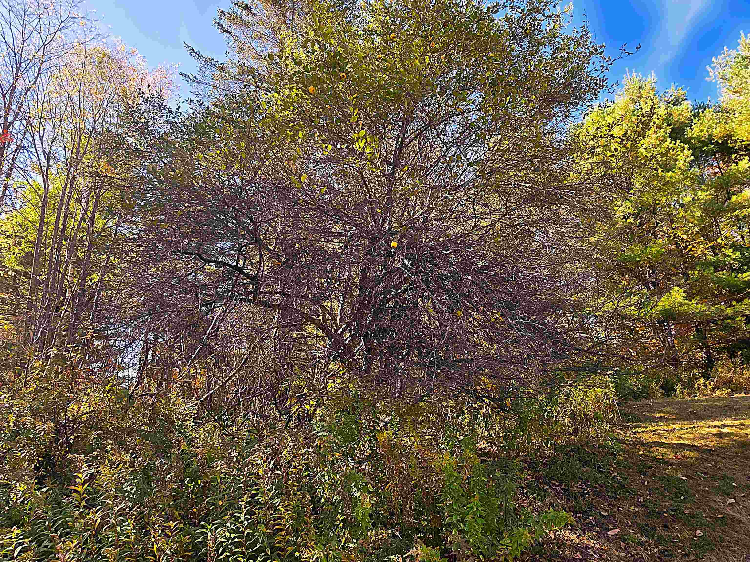 29 George Street Barre, VT 05641 - Photo 7 of 43