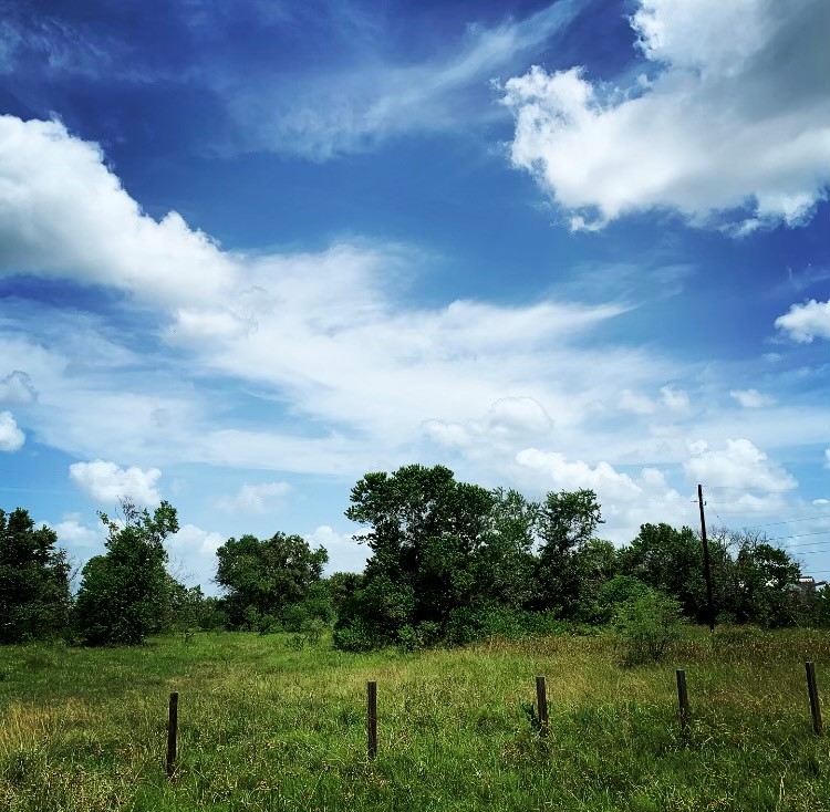 0 Fm 1462 Road Damon, TX 77430 - Photo 6 of 6