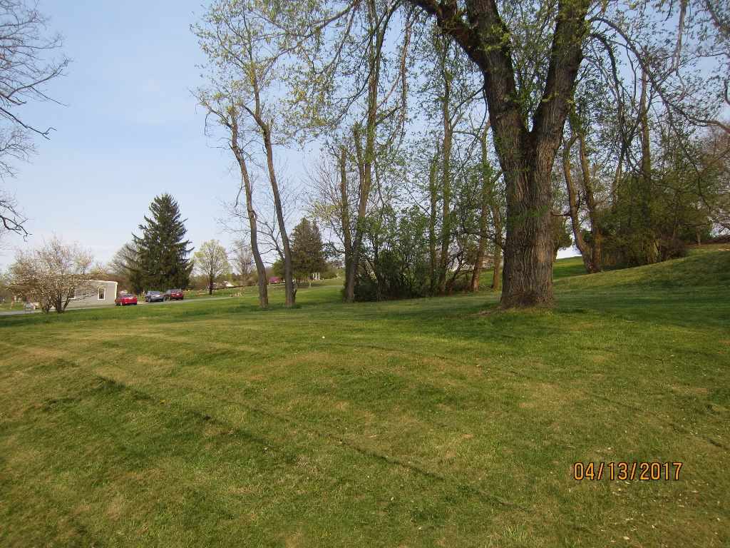 1917 Shutterlee Mill Road Staunton, VA 24401 - Photo 28 of 40 a view of field with trees
