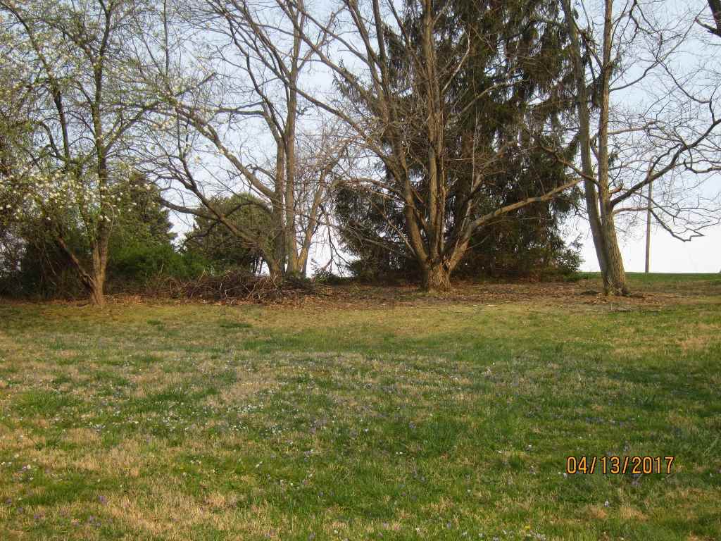 1917 Shutterlee Mill Road Staunton, VA 24401 - Photo 29 of 40 a view of yard with green space