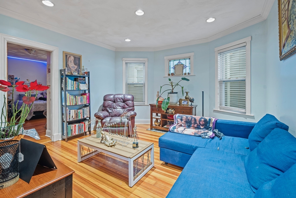 385 Centre Street, Unit 1 Boston, MA 02122 - Photo 4 of 14 a living room with furniture and a potted plant