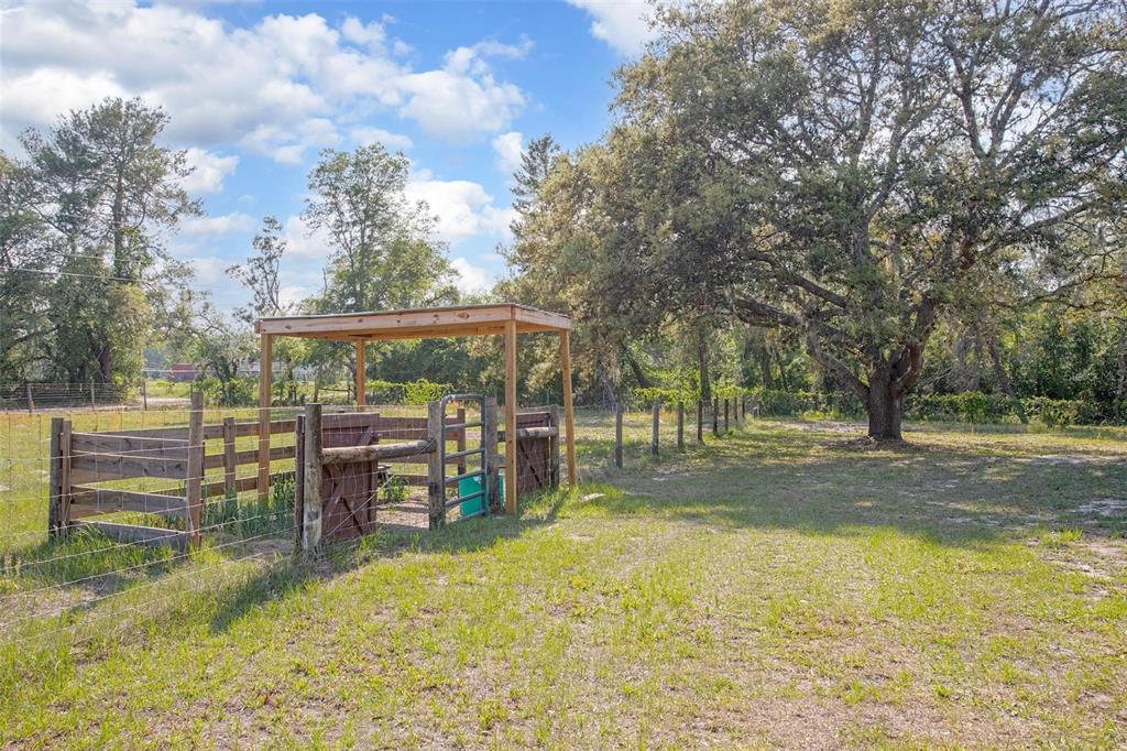 5410 Deleon Springs Ranch Road De Leon Springs, FL 32130 - Photo 30 of 43