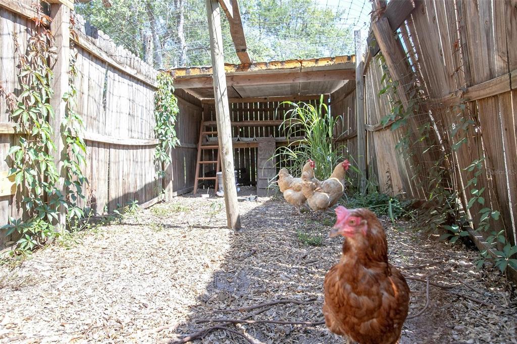 5410 Deleon Springs Ranch Road De Leon Springs, FL 32130 - Photo 32 of 43