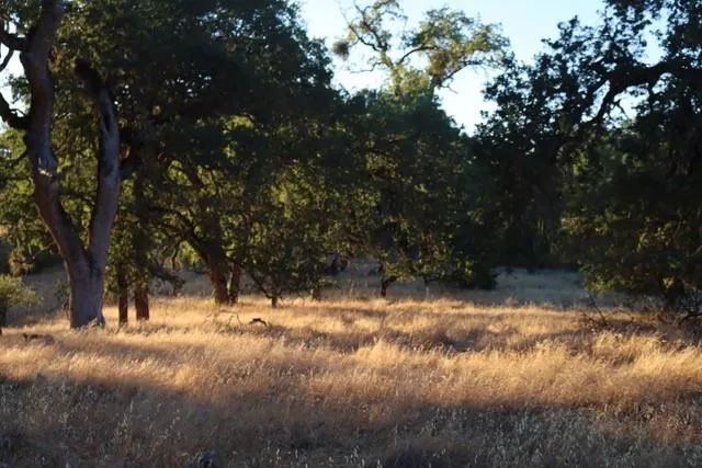 a view of snow on a yard