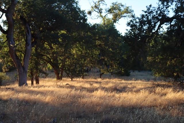 0 Lambert Flats Road Carmel Valley, CA 93924 - Photo 5 of 8 a view of snow on a yard