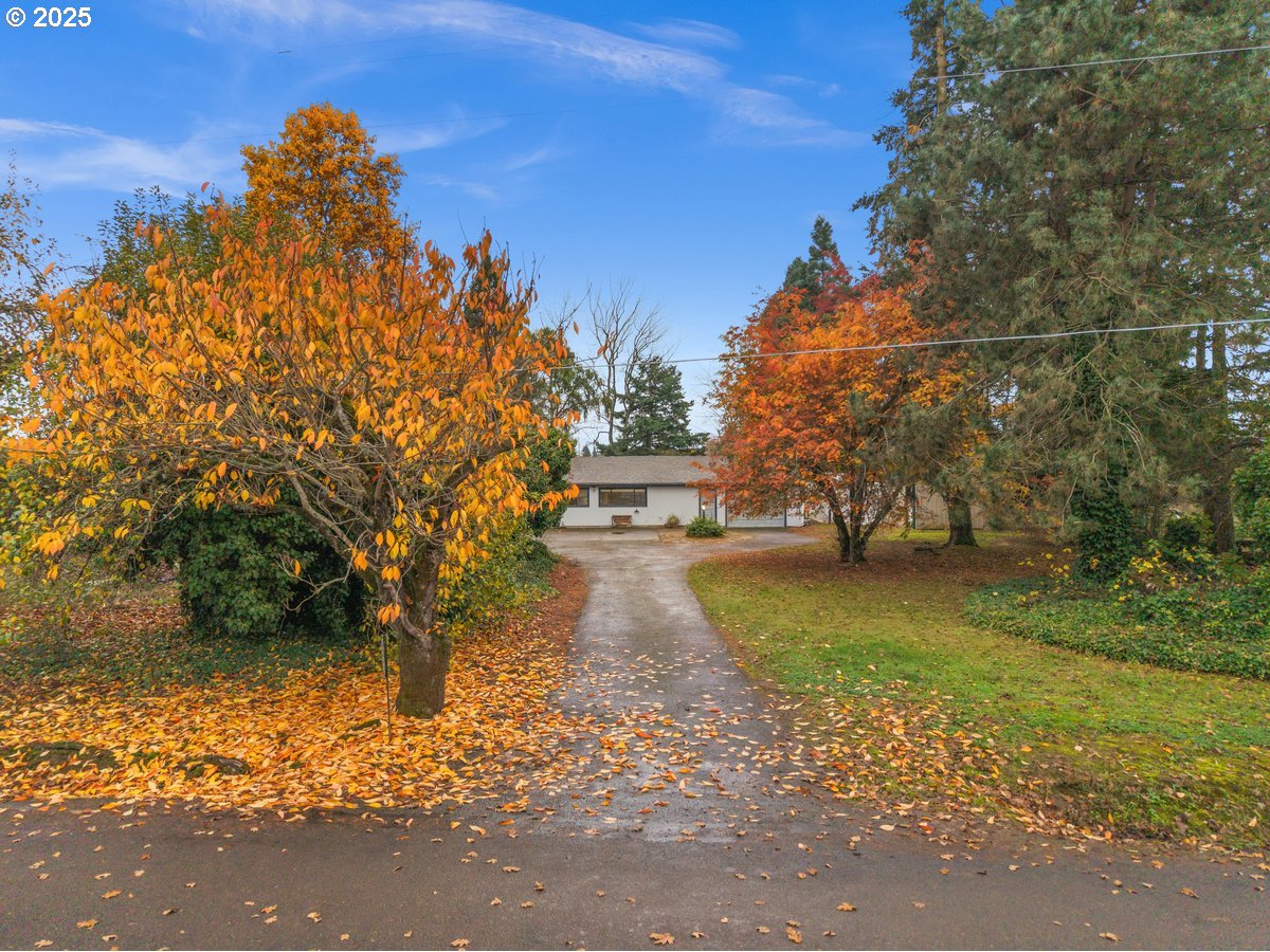 12602 Fry Road Northeast Aurora, OR 97002 - Photo 2 of 47 a view of a street with a building in the background