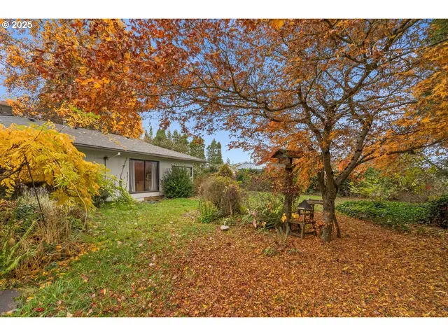 a view of a backyard with large trees