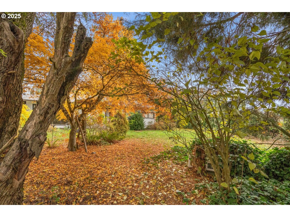 12602 Fry Road Northeast Aurora, OR 97002 - Photo 33 of 47 a view of outdoor space and yard