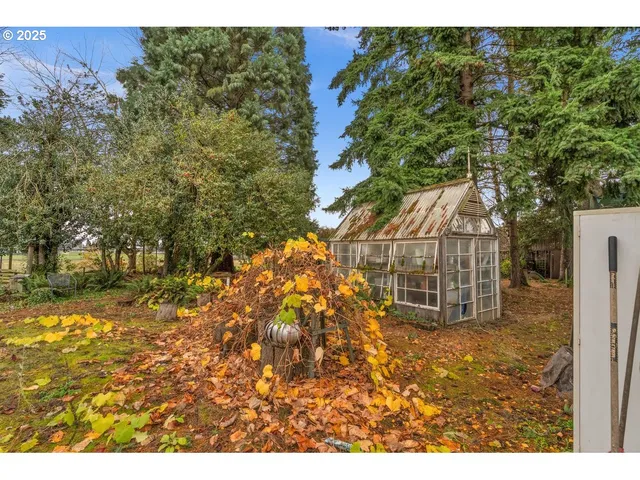 a view of a backyard