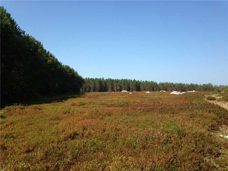 125 Happytown Road Ellsworth, ME 04605 - Photo 18 of 31 Land.