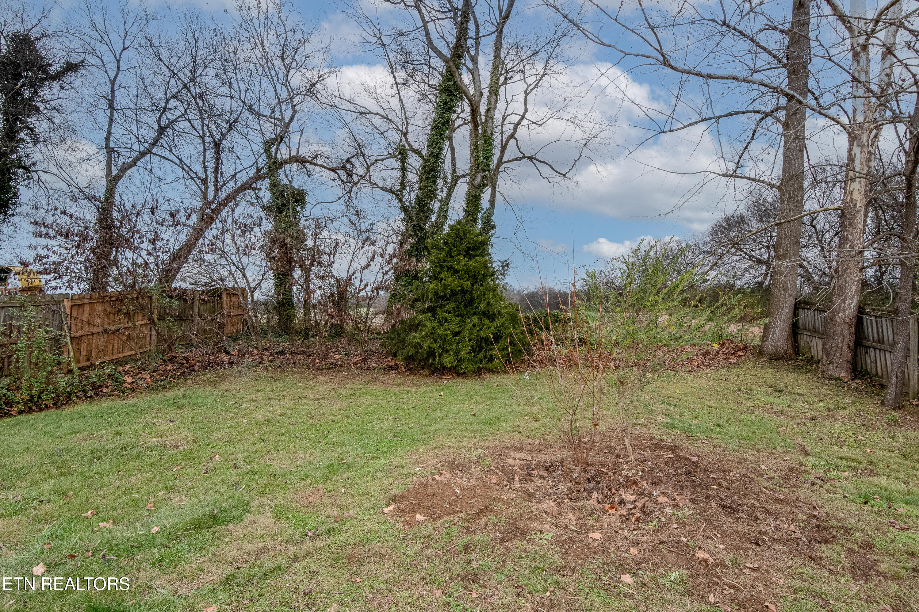 1119 Cherry Street Alcoa, TN 37701 - Photo 33 of 37 Backs Up to Farm