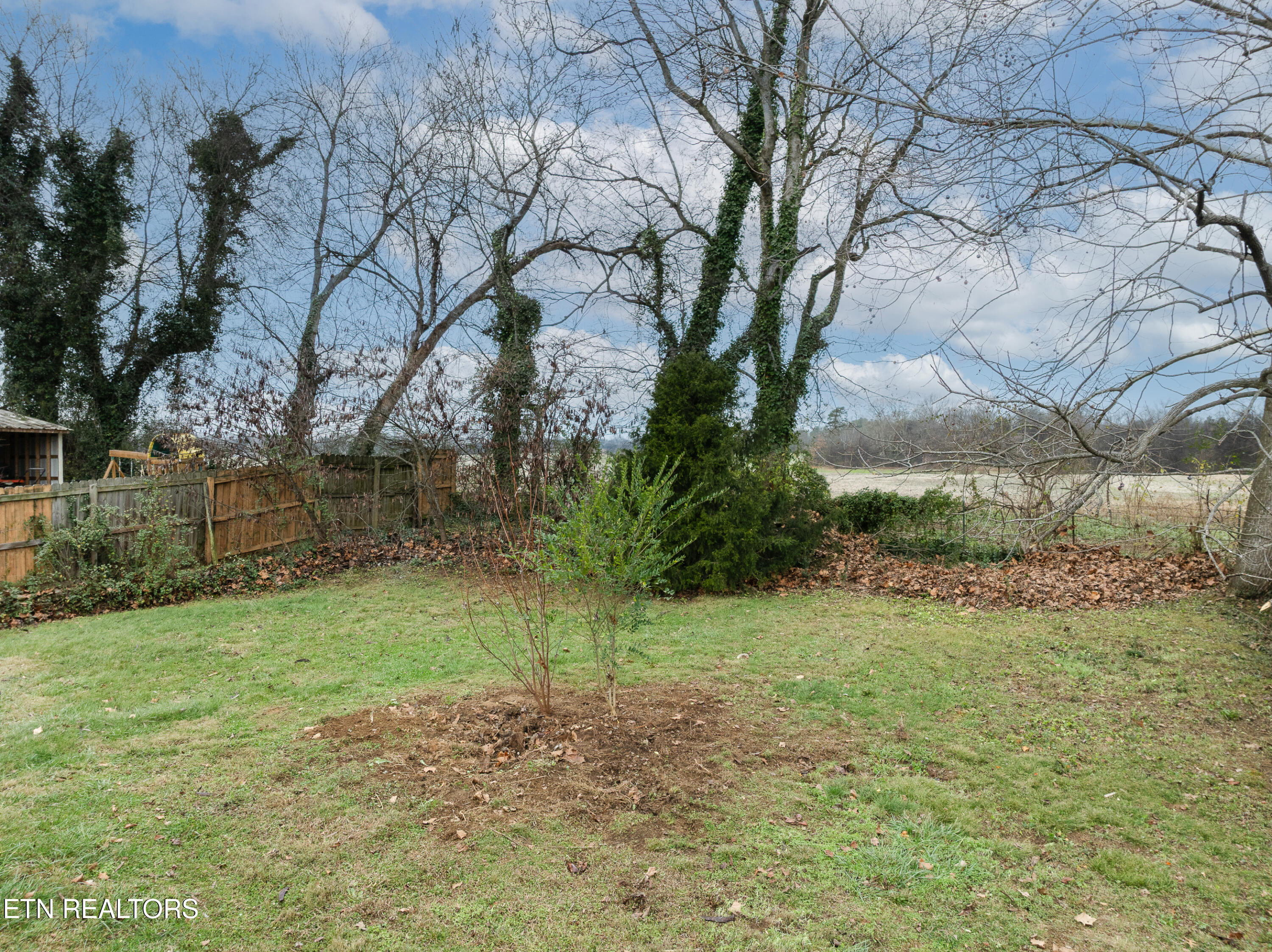 1119 Cherry Street Alcoa, TN 37701 - Photo 35 of 37 Trees