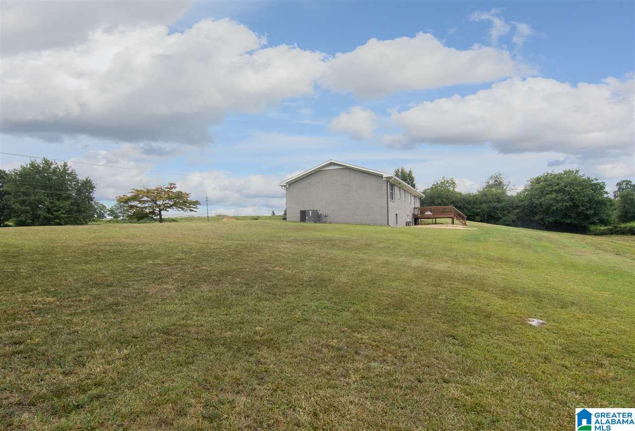 46559 Highway 231 Oneonta, AL 35121 - Photo 38 of 39