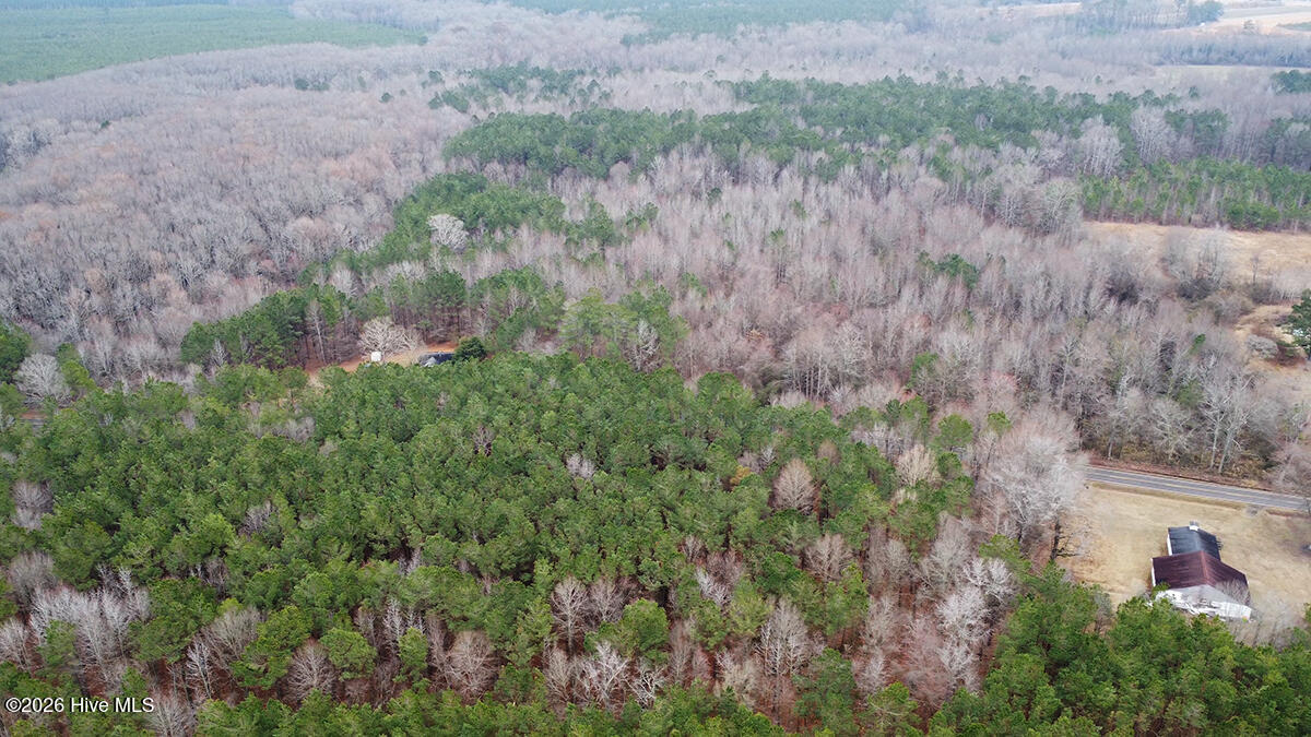 Tbd River Road Scotland Neck, NC 27874 - Photo 11 of 15 0114-011