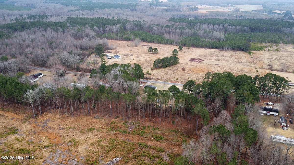 Tbd River Road Scotland Neck, NC 27874 - Photo 13 of 15 0114-013