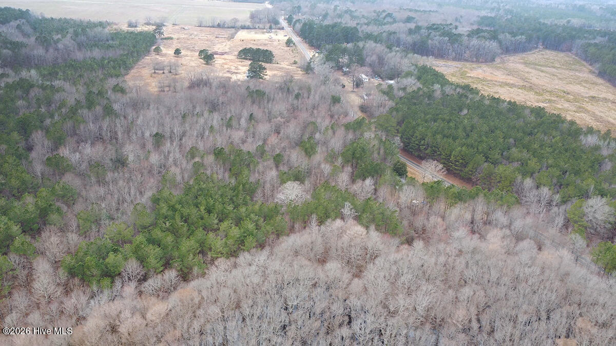 Tbd River Road Scotland Neck, NC 27874 - Photo 7 of 15 0114-007