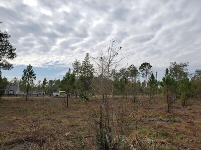 34435 Mitigation Trail Callahan, FL 32011 - Photo 1 of 20 Gallery Image 1
