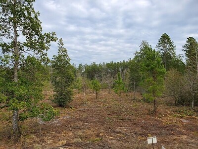 34435 Mitigation Trail Callahan, FL 32011 - Photo 3 of 20 Gallery Image 3
