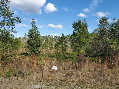 34435 Mitigation Trail Callahan, FL 32011 - Photo 4 of 20 Gallery Image 4